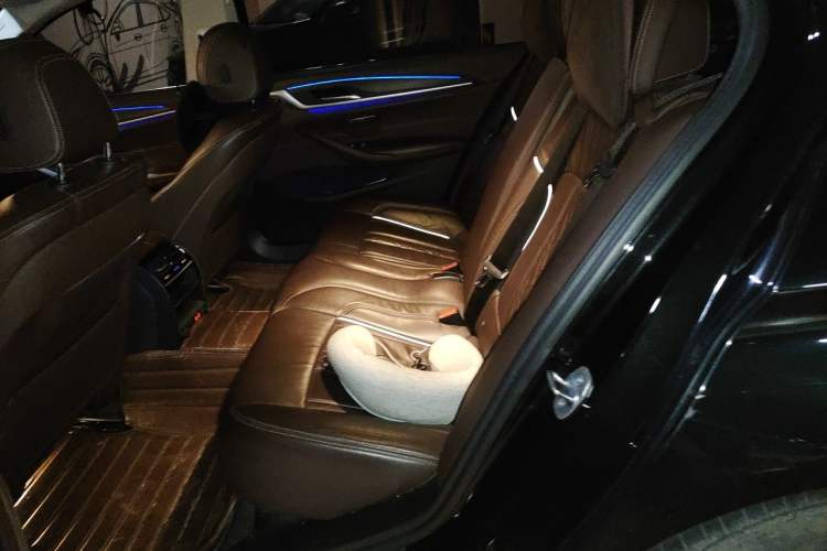 Used BMW 5 Series New Energy 2019 Updated Version 530Le Luxury Package Left Rear Seat