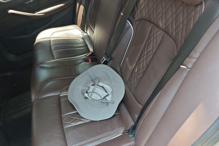 Used BMW 5 Series New Energy 2019 530Le Luxury Package Left Rear Seat