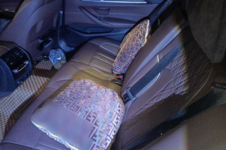 Used BMW 5 Series New Energy 2019 530Le Luxury Package Left Rear Seat