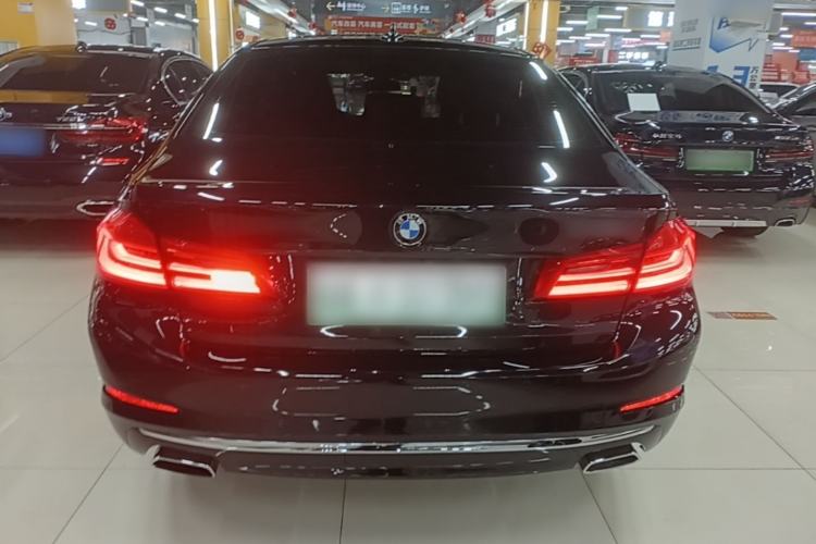 Used BMW 5 Series New Energy 2019 530Le Luxury Package Rear