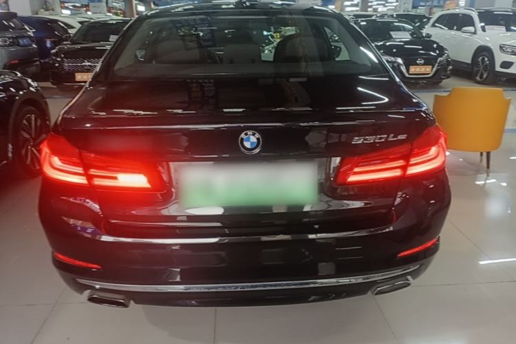 Used BMW 5 Series New Energy 2019 530Le Pioneer Edition Rear