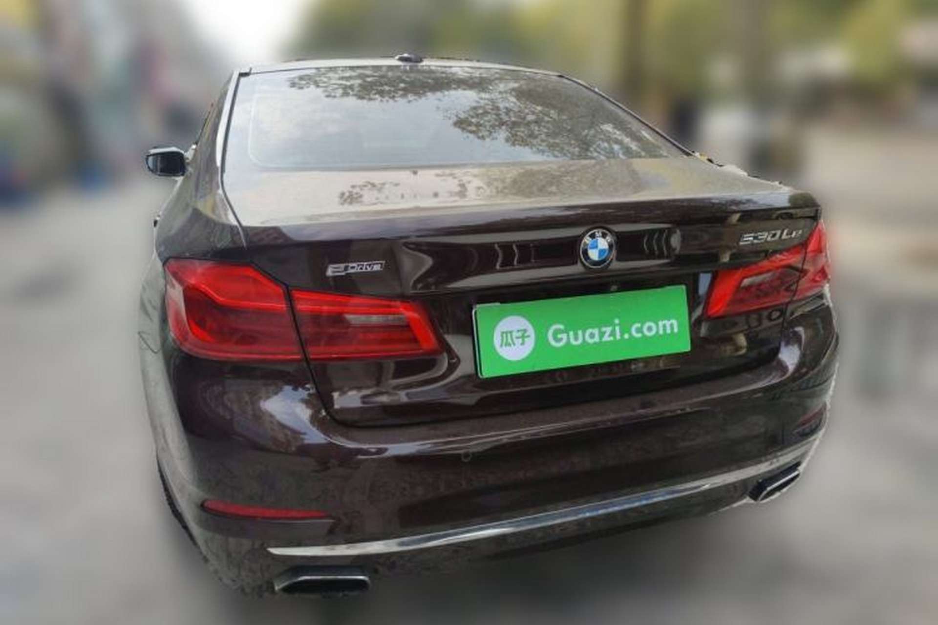 Used BMW 5 Series New Energy 2019 530Le Luxury Package Rear