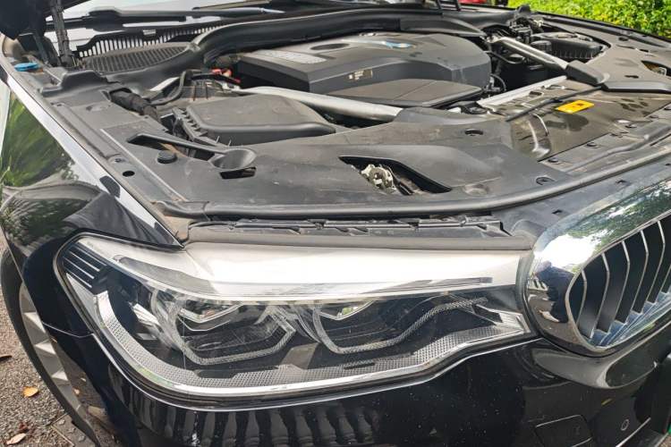 Used BMW 5 Series New Energy 2019 Updated Version 530Le Luxury Package Right Front Headlight