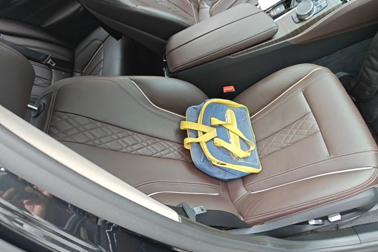 Used BMW 5 Series New Energy 2019 530Le Luxury Package Right Front Seat