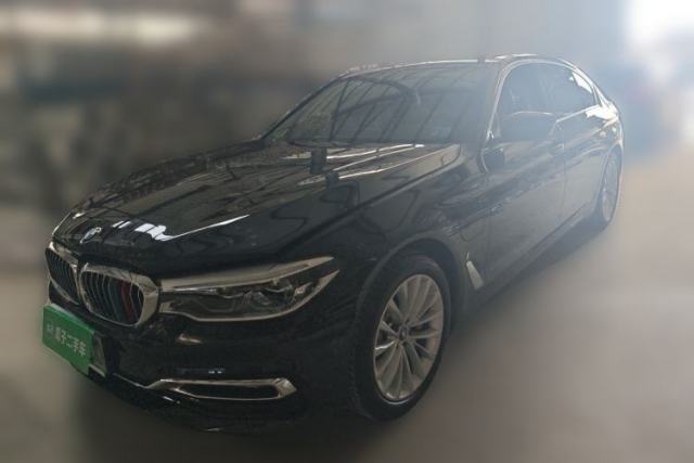 Used BMW 5 Series New Energy 2019 530Le Luxury Package
