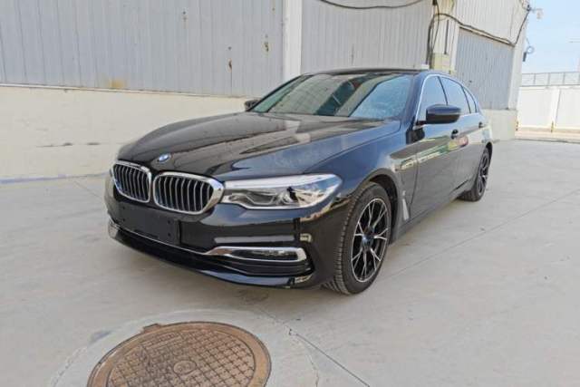 Used BMW 5 Series New Energy 2019 530Le Luxury Package
