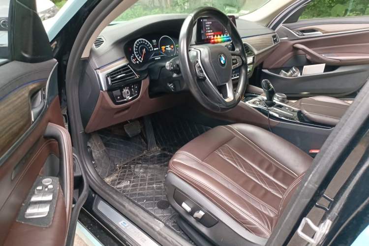Used BMW 5 Series New Energy 2019 Updated Version 530Le Luxury Package Driver Seat