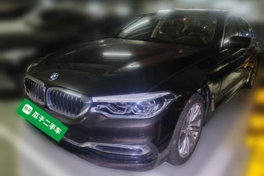 Used BMW 5 Series New Energy 2019 530Le Luxury Package