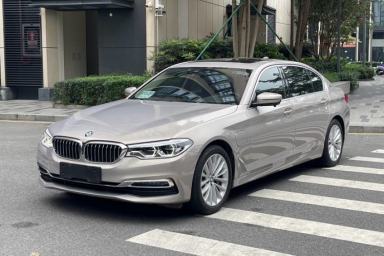 Used BMW 5 Series New Energy 2019 530Le Luxury Package