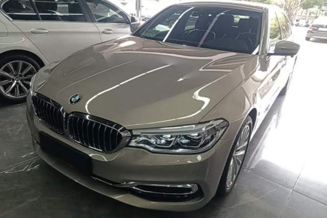 Used BMW 5 Series New Energy 2019 530Le Luxury Package