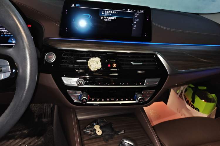 Used BMW 5 Series New Energy 2019 530Le Pioneer Edition Audio And AC Panel