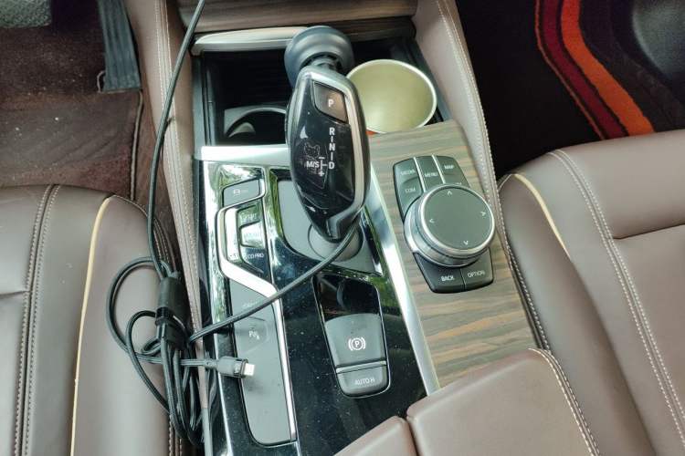 Used BMW 5 Series New Energy 2019 530Le Luxury Package Gear Lever
