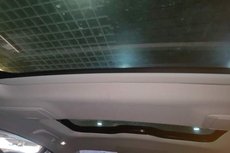 Used BMW 5 Series New Energy 2019 Updated 530Le Pioneer Edition Headliner