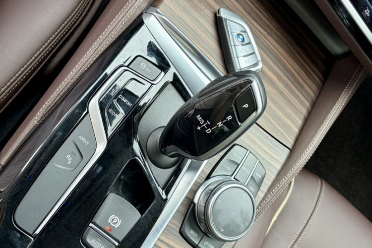 Used BMW 5 Series New Energy 2019 530Le Luxury Package Interior 3