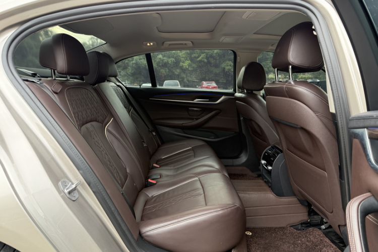 Used BMW 5 Series New Energy 2019 Updated Version 530Le Luxury Package Interior 6