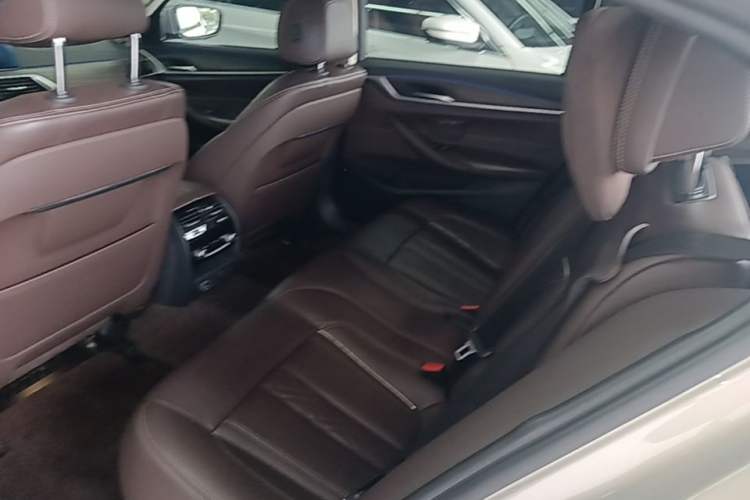 Used BMW 5 Series New Energy 2019 530Le Luxury Package Left Rear Seat