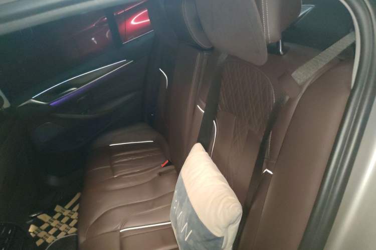 Used BMW 5 Series New Energy 2019 Updated Version 530Le Luxury Package Left Rear Seat