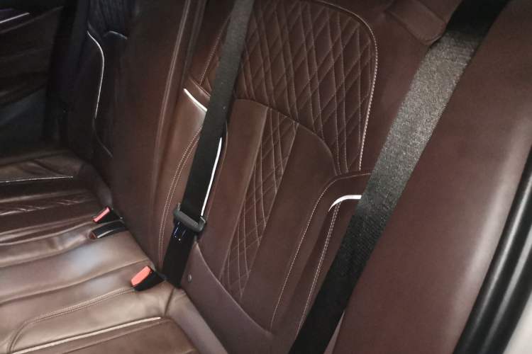 Used BMW 5 Series New Energy 2019 530Le Luxury Package Left Rear Seat