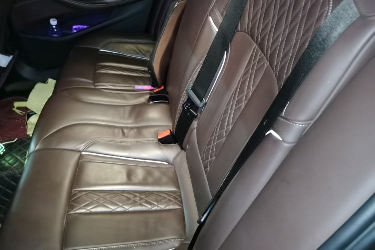 Used BMW 5 Series New Energy 2019 530Le Luxury Package Left Rear Seat