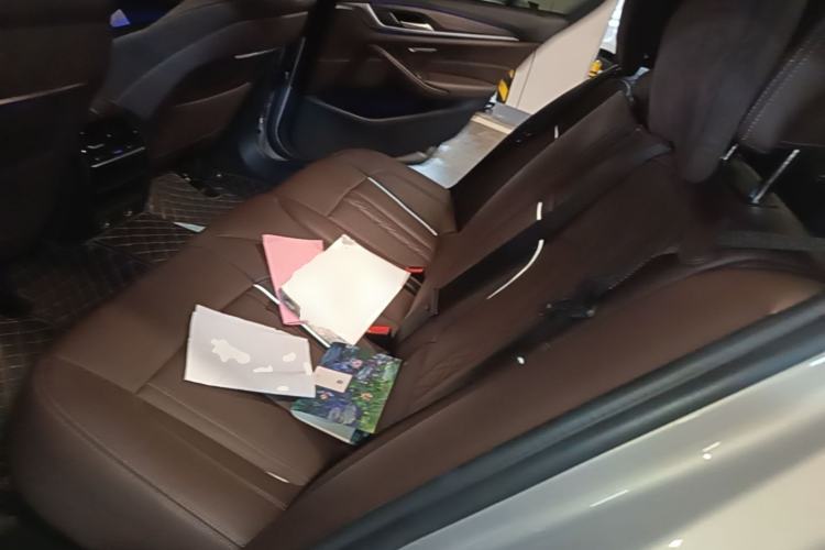 Used BMW 5 Series New Energy 2019 Updated Version 530Le Luxury Package Left Rear Seat