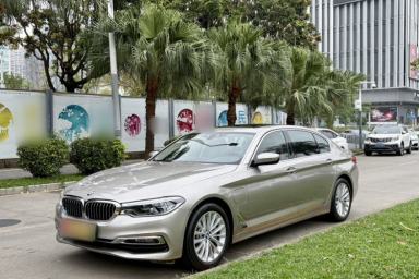 Used BMW 5 Series New Energy 2019 530Le Luxury Package