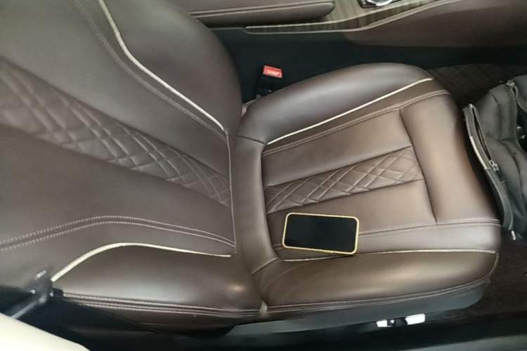 Used BMW 5 Series New Energy 2019 530Le Luxury Package Right Front Seat