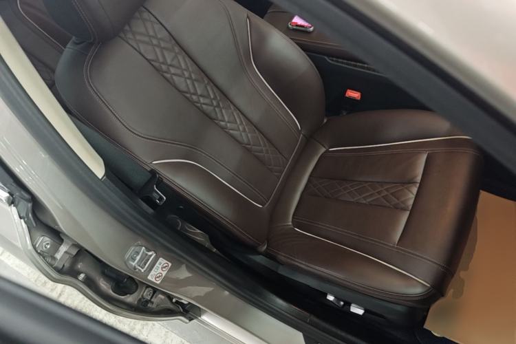 Used BMW 5 Series New Energy 2019 Updated Version 530Le Luxury Package Right Front Seat