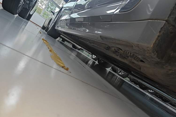 Used BMW 5 Series New Energy 2019 530Le Luxury Package Right Side Sill