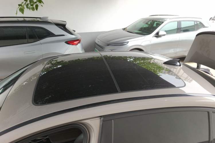 Used BMW 5 Series New Energy 2019 530Le Luxury Package Roof