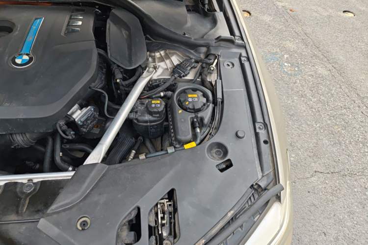 Used BMW 5 Series New Energy 2019 530Le Luxury Package Engine Bay Left