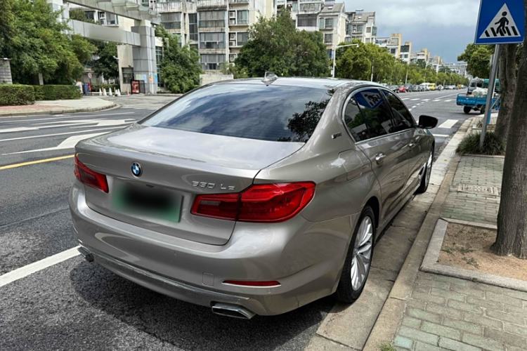 Used BMW 5 Series New Energy 2019 530Le Luxury Package Exterior 8