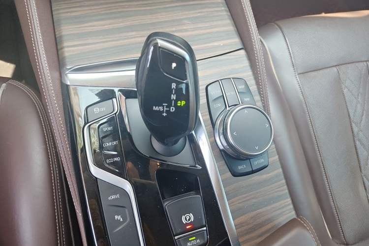 Used BMW 5 Series New Energy 2019 530Le Luxury Package Gear Lever