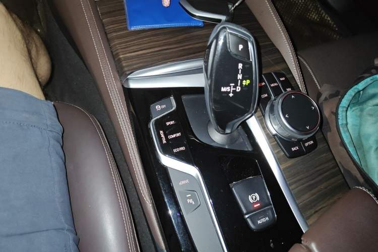 Used BMW 5 Series New Energy 2019 530Le Luxury Package Gear Lever