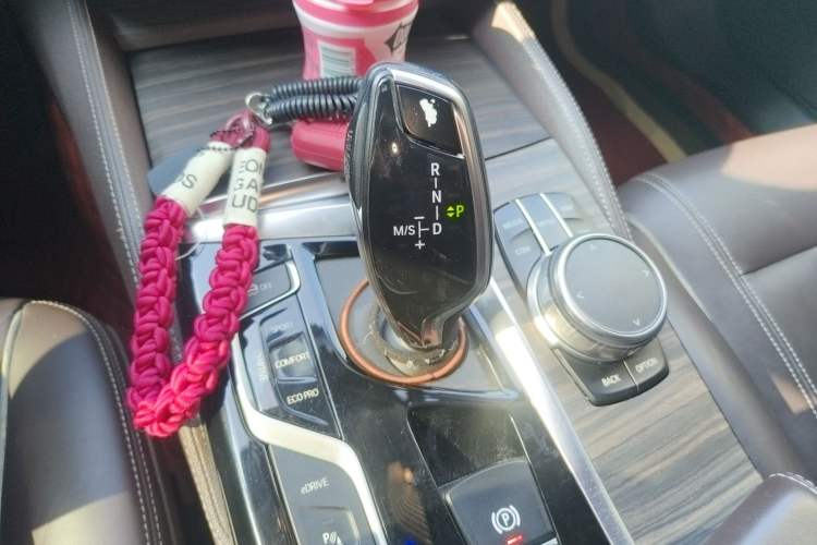 Used BMW 5 Series New Energy 2019 530Le Luxury Package Gear Lever