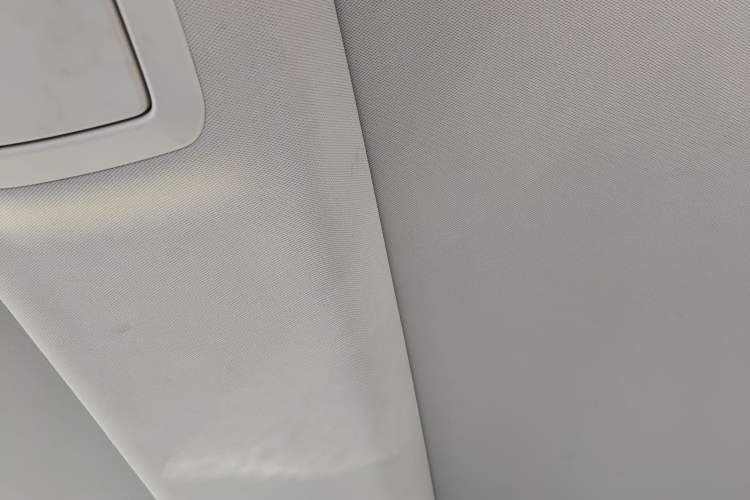 Used BMW 5 Series New Energy 2019 530Le Luxury Package Headliner