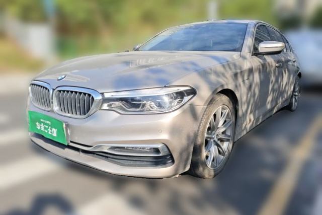 Used BMW 5 Series New Energy 2019 530Le Luxury Package