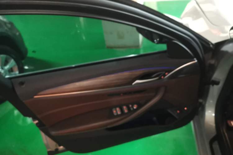 Used BMW 5 Series New Energy 2019 530Le Luxury Package Left Front Door Interior