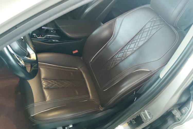 Used BMW 5 Series New Energy 2019 530Le Luxury Package Left Front Seat