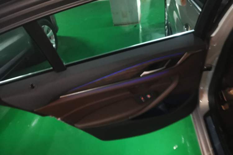 Used BMW 5 Series New Energy 2019 530Le Luxury Package Left Rear Door Interior