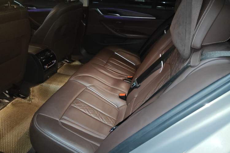 Used BMW 5 Series New Energy 2019 530Le Luxury Package Left Rear Seat