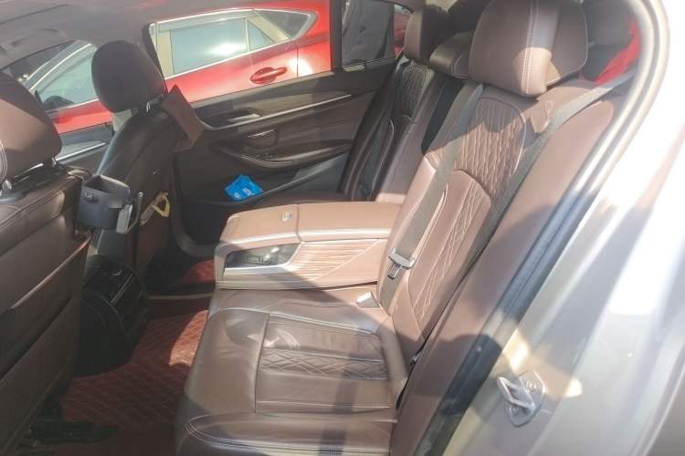 Used BMW 5 Series New Energy 2019 530Le Luxury Package Left Rear Seat