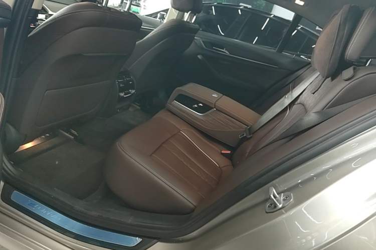 Used BMW 5 Series New Energy 2019 530Le Luxury Package Left Rear Seat
