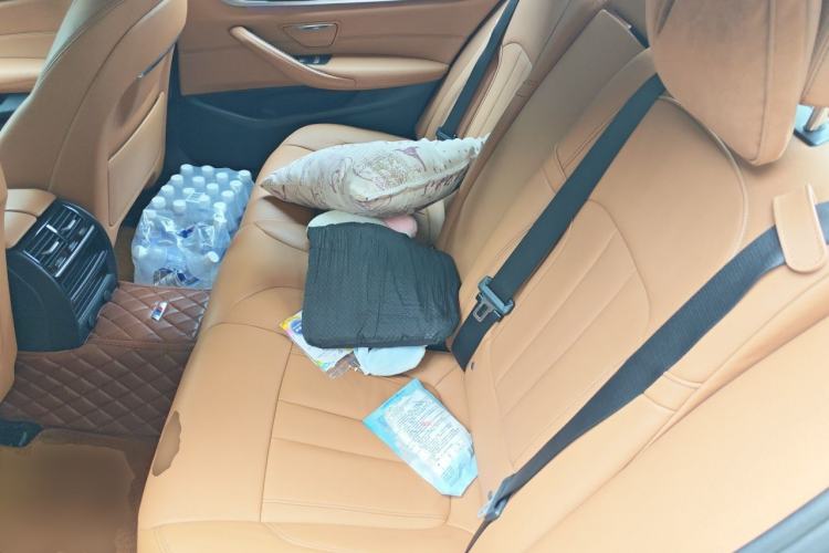 Used BMW 5 Series New Energy 2019 530Le Luxury Package Left Rear Seat