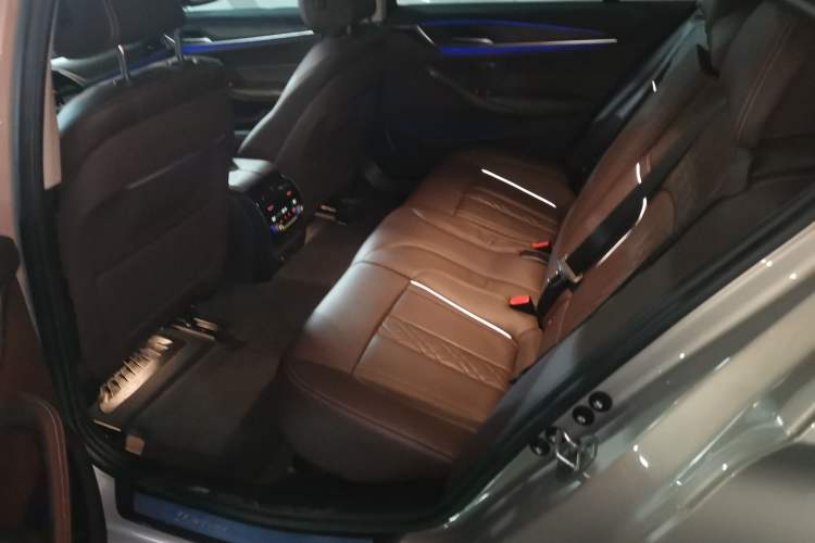 Used BMW 5 Series New Energy 2019 530Le Luxury Package Left Rear Seat
