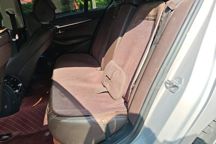 Used BMW 5 Series New Energy 2019 530Le Luxury Package Left Rear Seat
