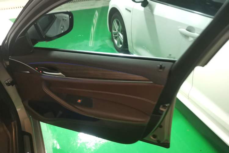 Used BMW 5 Series New Energy 2019 530Le Luxury Package Right Front Door Interior
