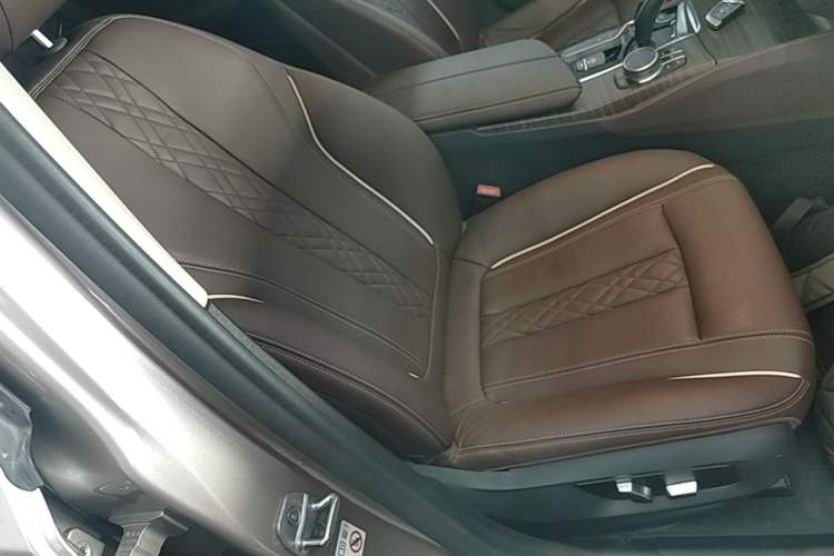 Used BMW 5 Series New Energy 2019 530Le Luxury Package Right Front Seat