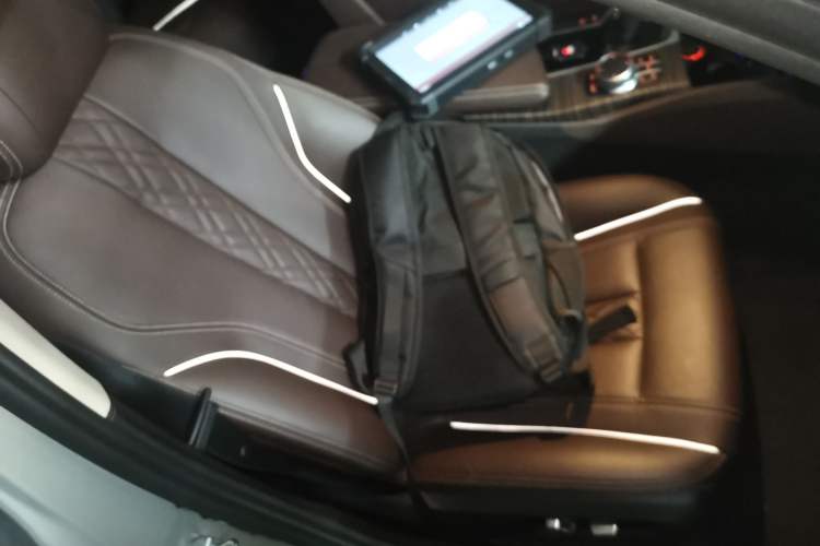 Used BMW 5 Series New Energy 2019 530Le Luxury Package Right Front Seat