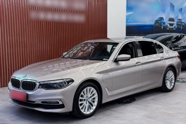 Used BMW 5 Series New Energy 2019 530Le Luxury Package