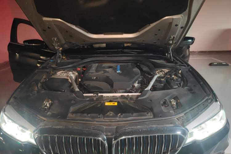 Used BMW 5 Series New Energy 2019 Updated 530Le Pioneer Edition Engine Bay
